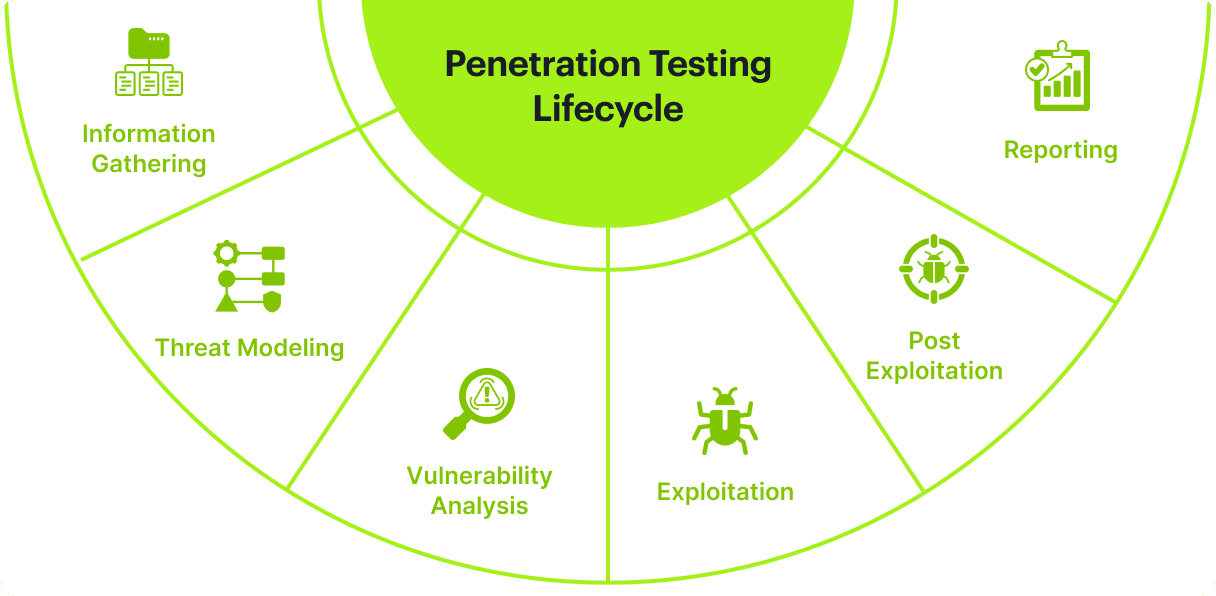Penetration Testing Lifecycle